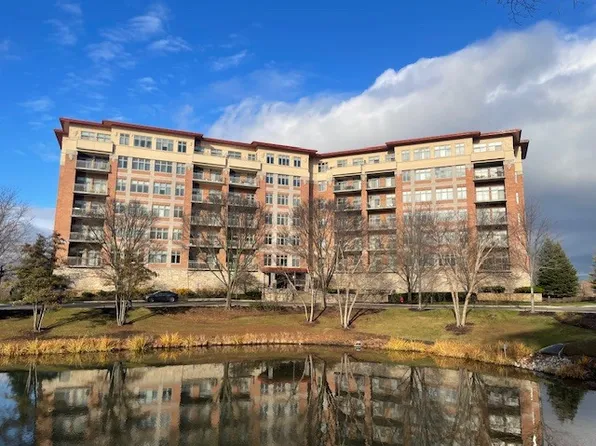 40 Prairie Park Dr APT 707, Wheeling, IL 60090