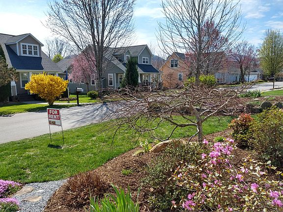 Front gardens and neighborhood views.