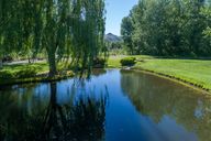 Pond
