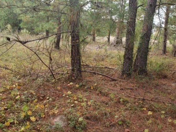 808 Lakeside View Ln, Orangeburg, SC 29115