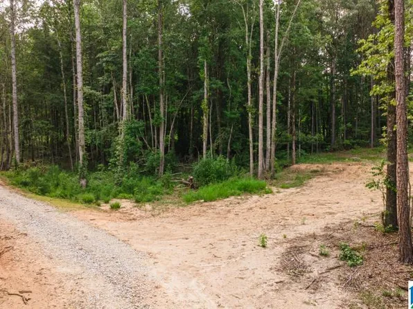 TRACT Two 343 County Rd #892, Wedowee, AL 36278
