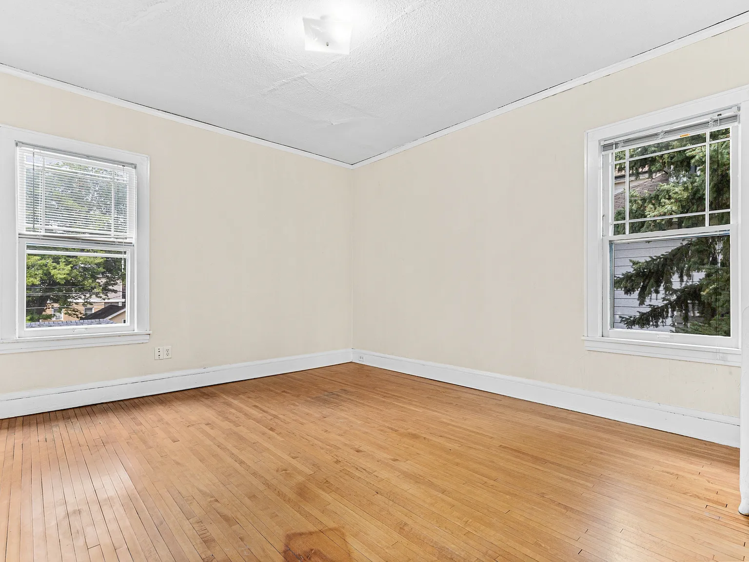 Blaisdell 2450 - 2 — Photo 4