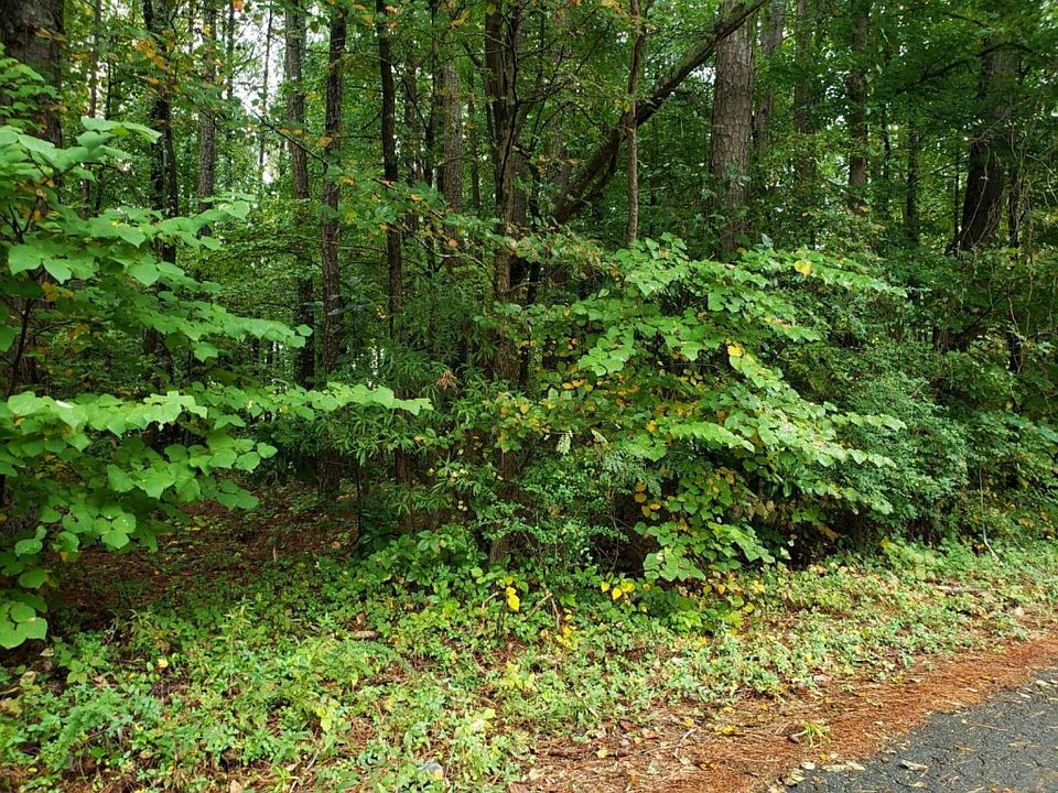 2nd image of 0 N Holt Rd