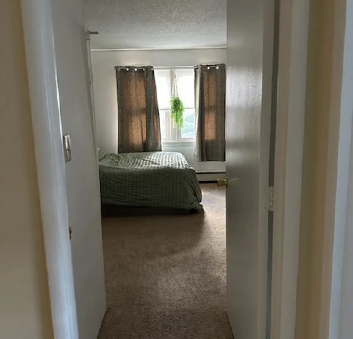 73B Manchester Street Apartments — Photo 4