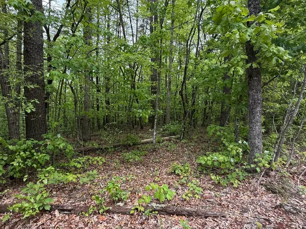 Bow Rd, Monterey, TN 38574