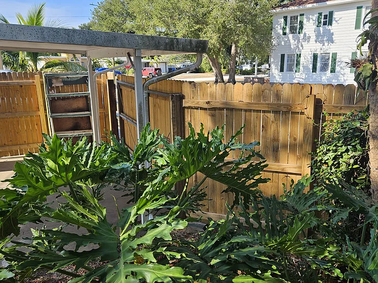super privacy back there