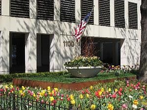 1st image of 1100 N Lake Shore Dr APT 3A