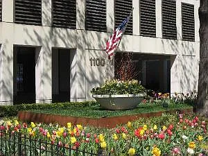 1100 N Lake Shore Dr APT 3A photo 1