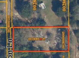 9007 Scott Wilson Ln, Odessa, FL 33556