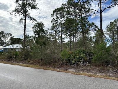 1112 Redbird St, Lake Placid, FL, 33852
