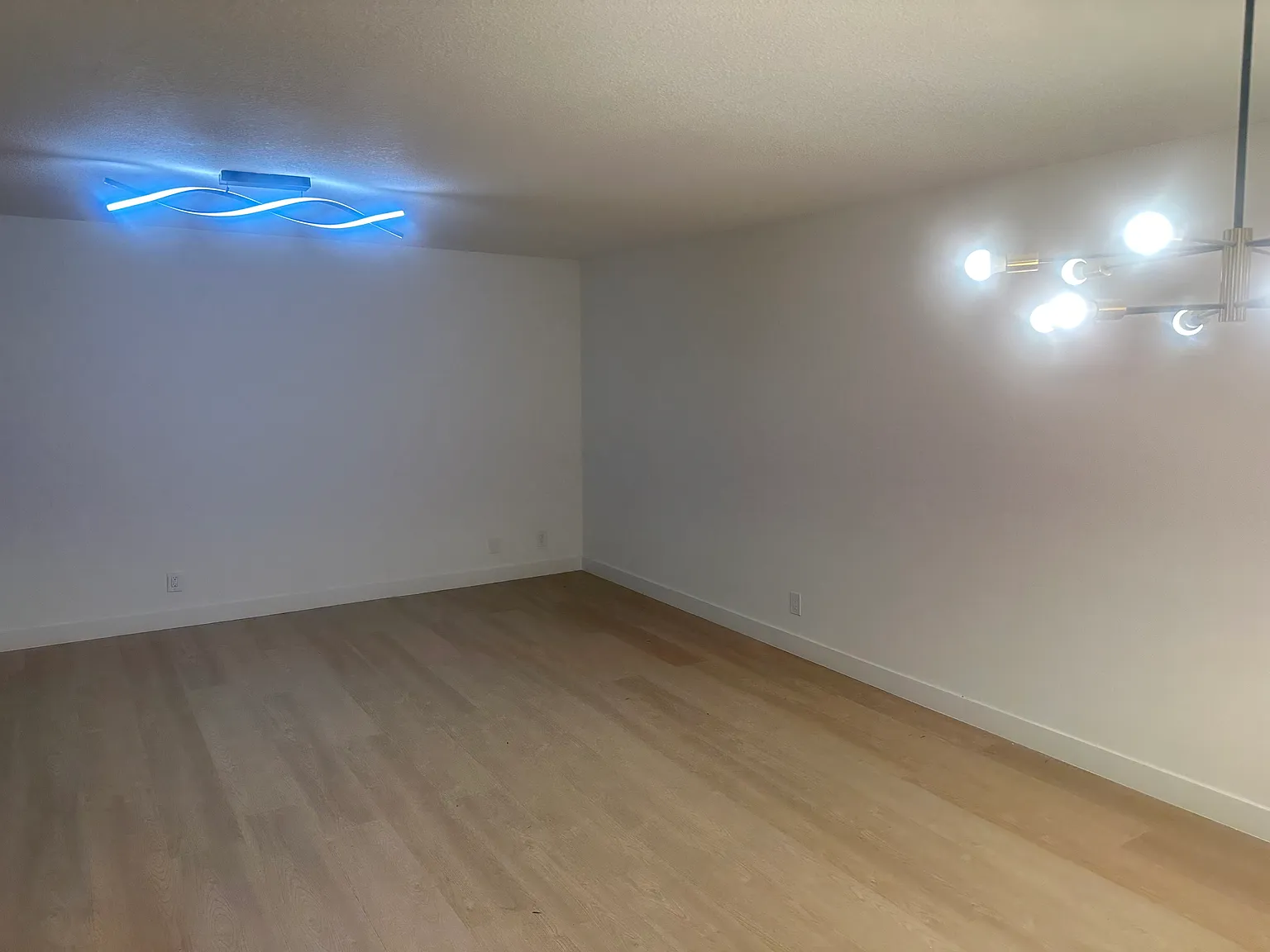 3 bed, 1066 sqft, $3,600 — Photo 3