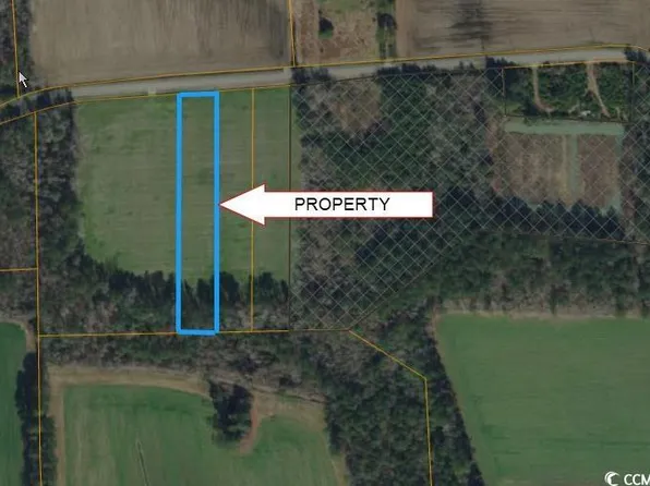 Lot 3 Tract B Oak Grove Church rd., Nichols, SC 29581