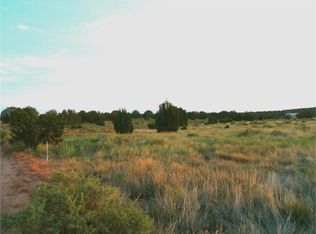 4125 S Pinto Rd, Snowflake, AZ 85937