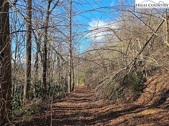 12th image of 339 Stillhouse Branch Road