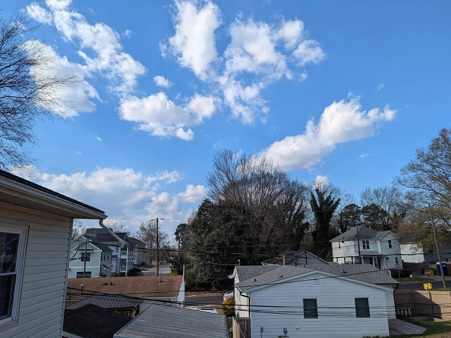 2 bed, 812 sqft, $1,350 — Photo 4