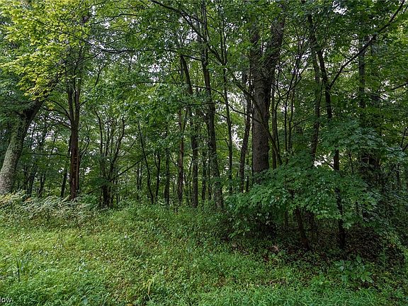 5th image of Township Road 484