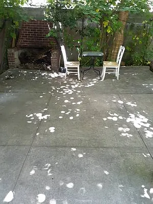 Rented by Citi Nest Group LLC | media 8