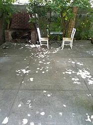 Rented by Citi Nest Group LLC