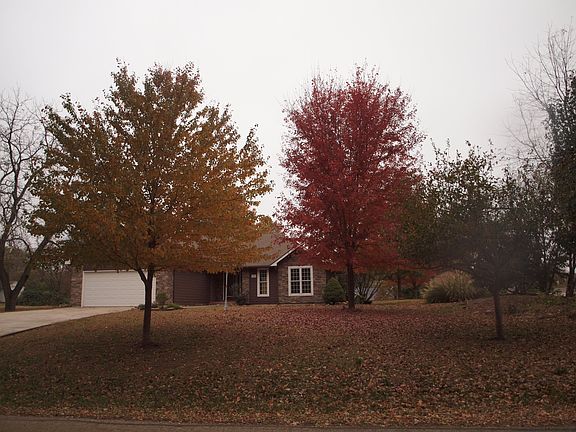Variety of Oaks, Maples, etc