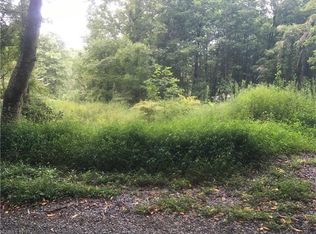 264 Connestee Rd, Brevard, NC 28712