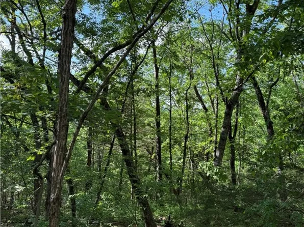 15 Woodside Ln, Eureka Springs, AR 72631