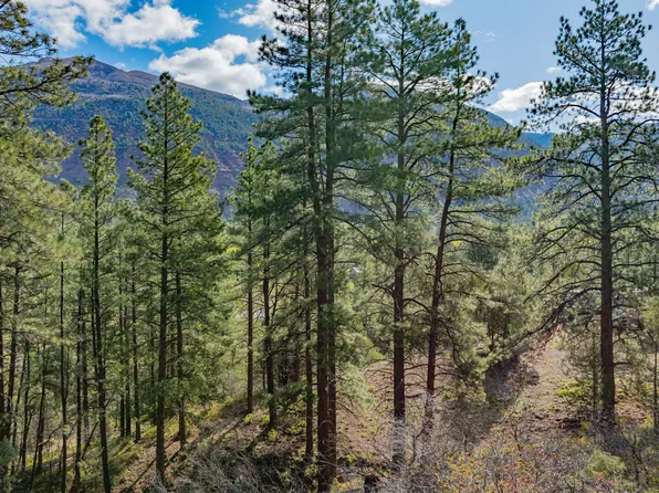 238 Pine Ridge Dr, Ridgway, CO 81432