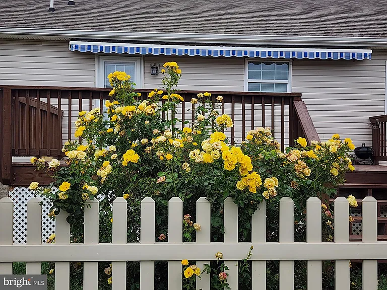227 Tather Dr — Photo 19