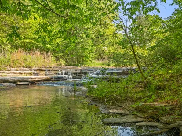 1240 Tanner Hollow Rd, Centerville, TN 37033