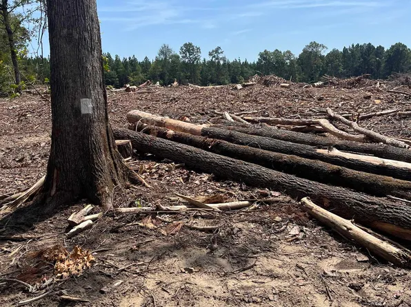 (undisclosed Address), Fordyce, AR 71742