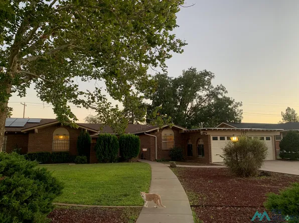 157 Yucca Dr, Portales, NM 88130