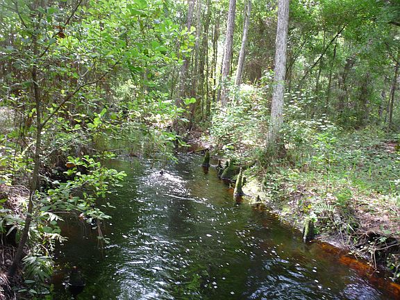 5th image of 12773 Rockridge Road