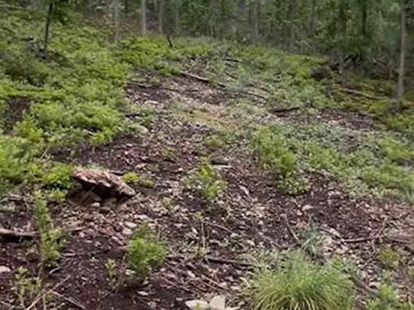 Peach Orchard Rd, Newville, PA 17241