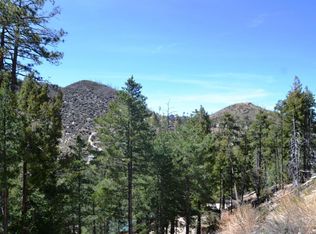 12680 N Ray Ave, Mount Lemmon, AZ 85619