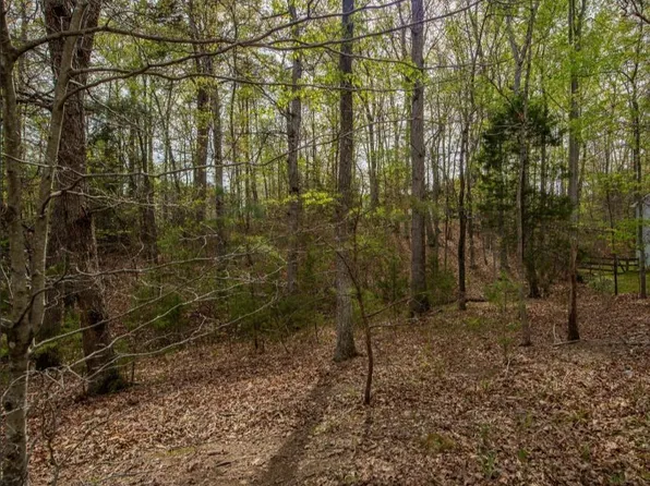 0 Turkeysag Trl, Palmyra, VA 22963