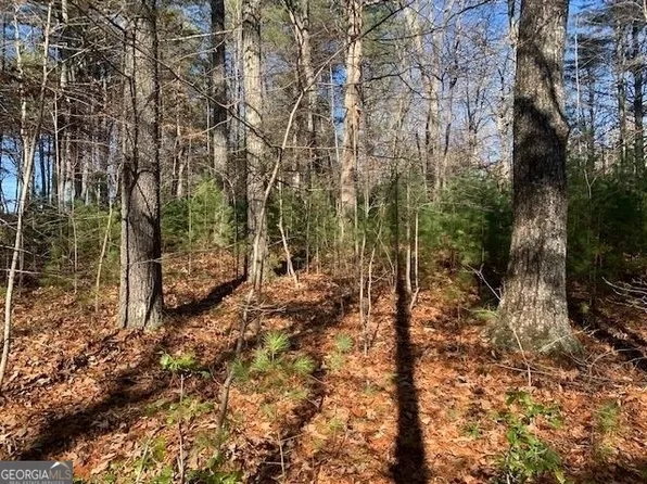 LOT 20 Fiddlers Cv, Blairsville, GA 30512
