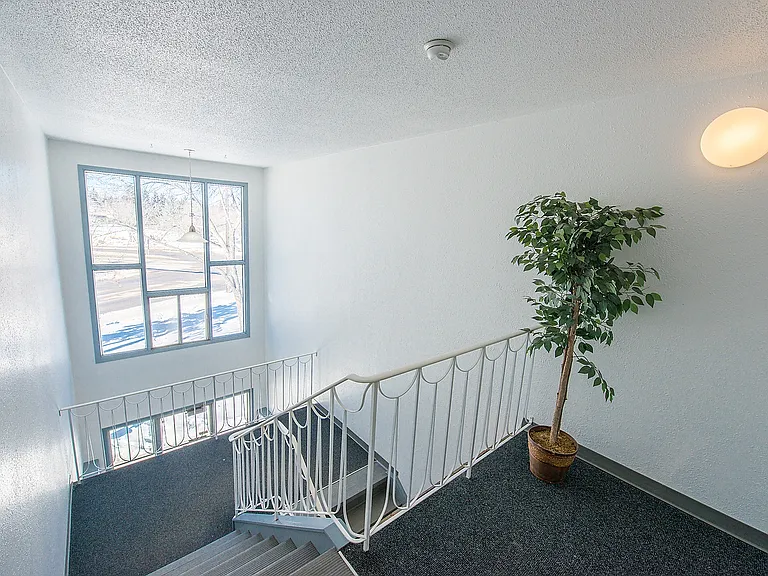 1602 Sherwood Dr — Photo 22