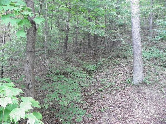 4th image of 2 High Meadow Cv