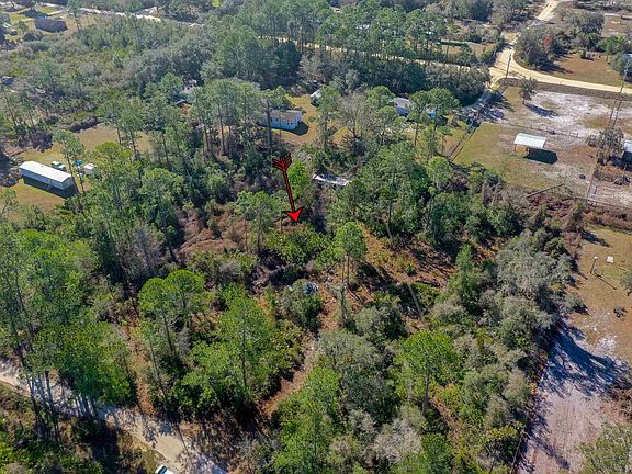 5th image of 33150 Forest Ridge Rd