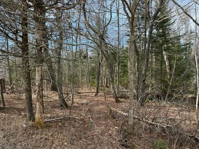 20 Kristenbreigh Lane, Bristol, ME, 04539