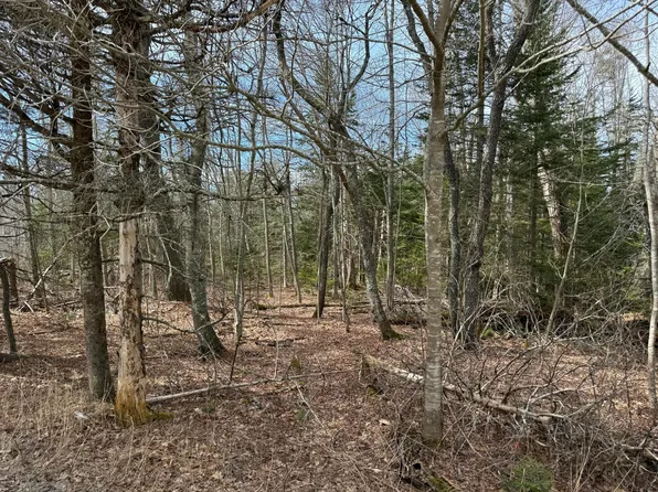 20 Kristenbreigh Lane, Bristol, ME 04539