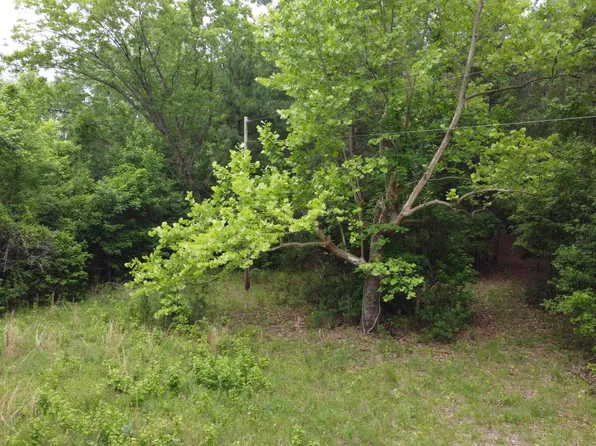 0 Liberty Church Rd, Manning, SC 29102