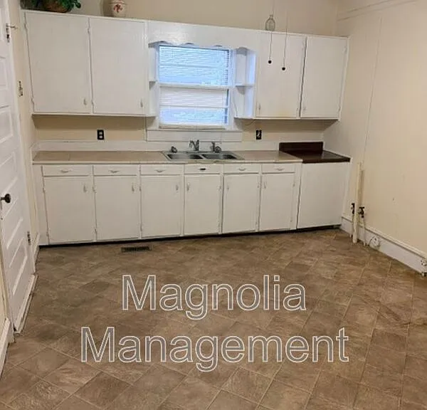 1316 S Chestnut St — Photo 8