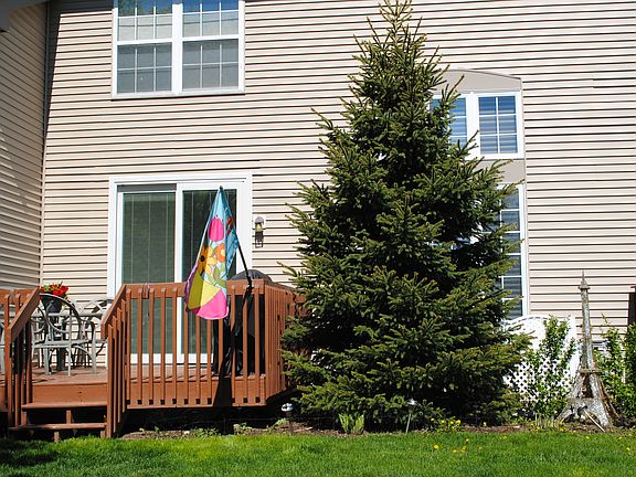 Back Deck