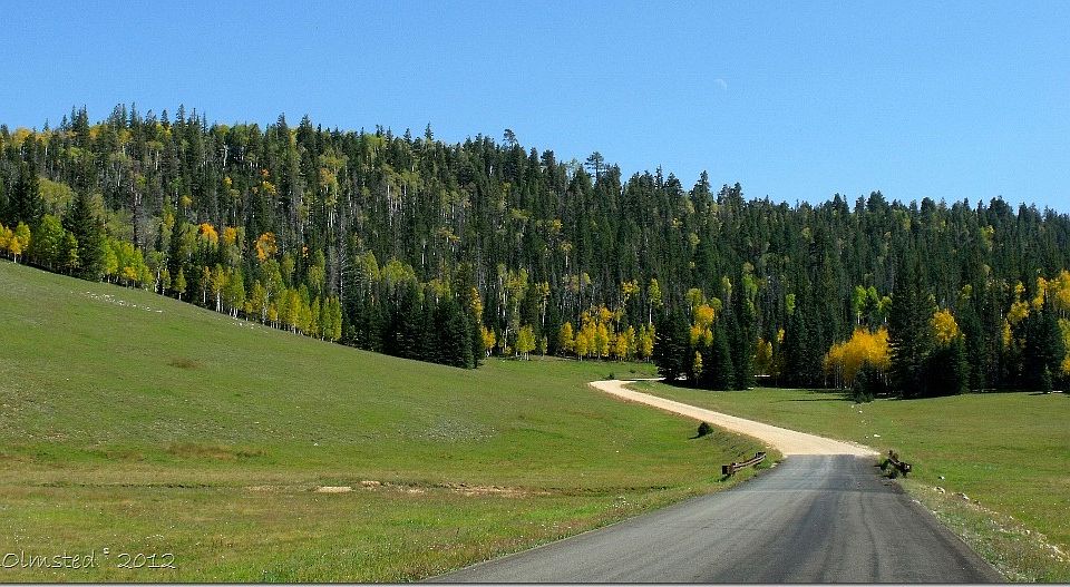 2nd image of 1094 E Indian Blanket Rd