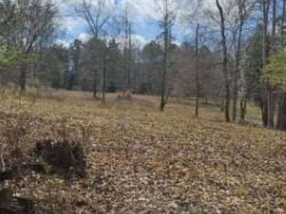 3rd image of 486 Walthall Rd