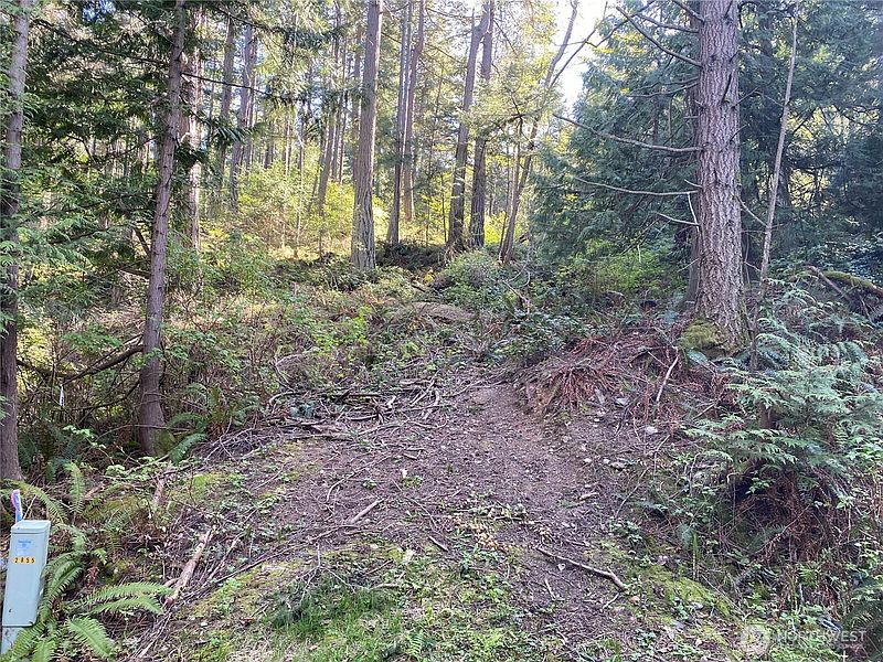 3rd image of 2861 Aiston Creek Rd
