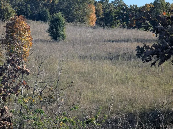 000 County Road 9610 State Rt Pp, Koshkonong, MO 65692