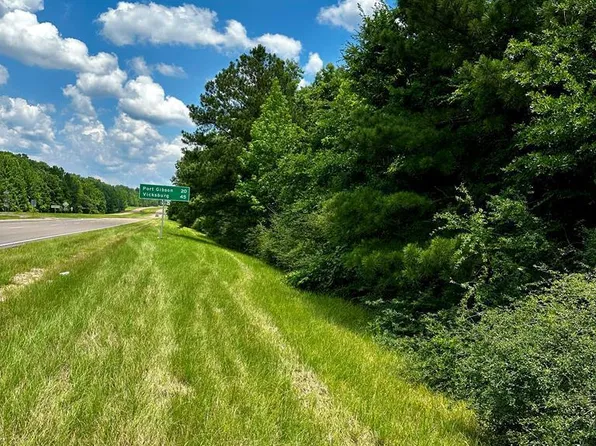 Highway 61, Fayette, MS 39069