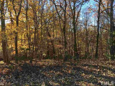 13321 Quarterhorse Run, Rougemont, NC, 27572