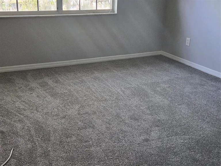 10342 Carrollwood Ln #168 — Photo 10